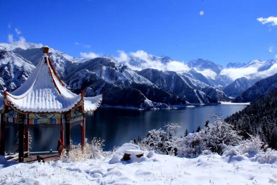 抚吟古琴雅韵，松江这些中小学生以传统文化滋养心田